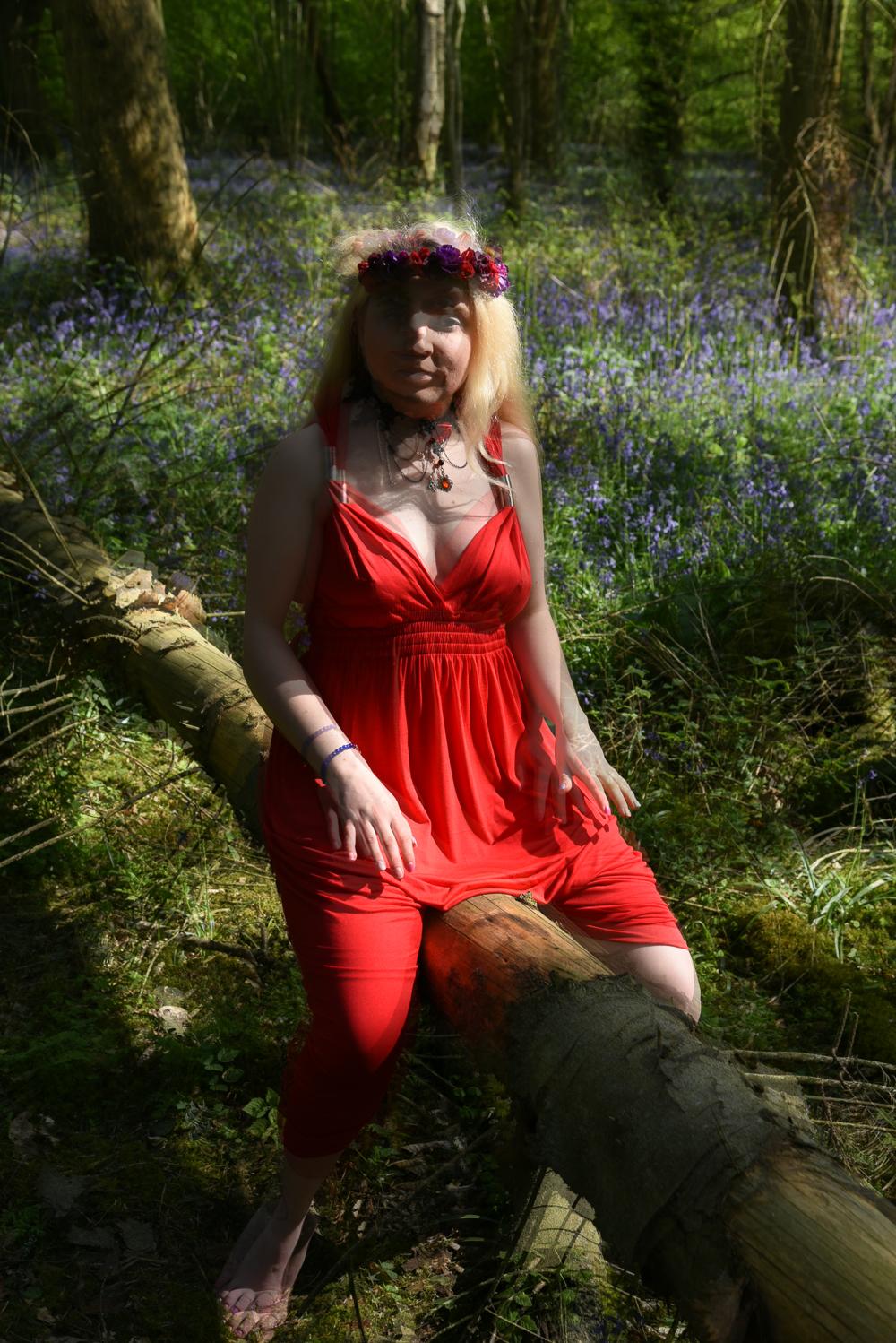 Image DSC_0753.jpg